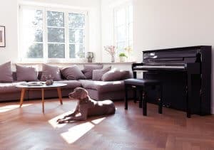 Yamaha CLP785 in the home with a nice doggo