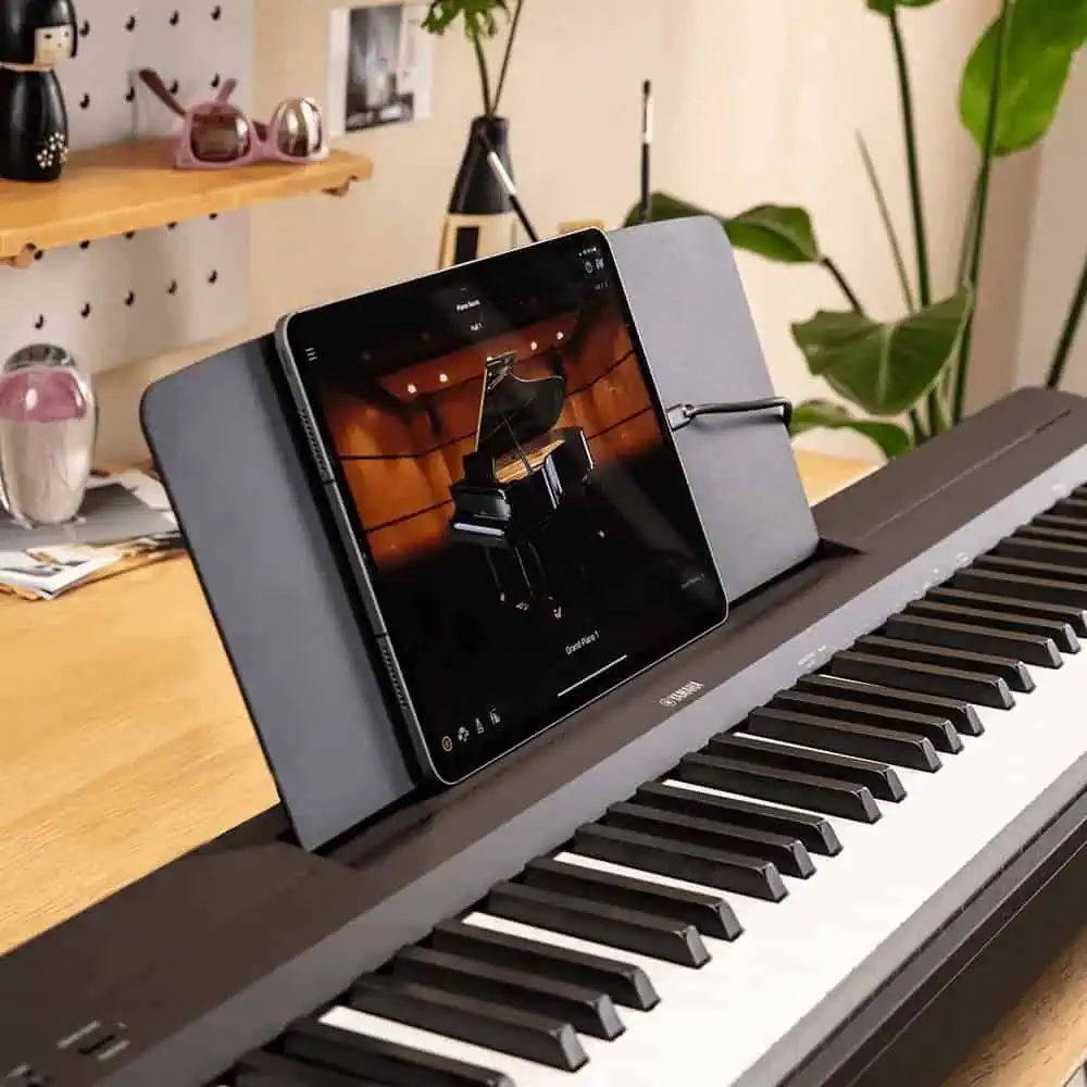 Piano Cases and Covers